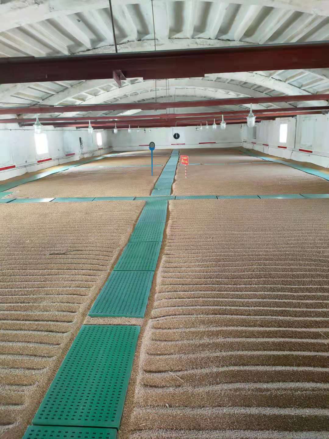 1700718914648241.jpg e78027d2b2e38c7ef5a29d5658184a4.jpg